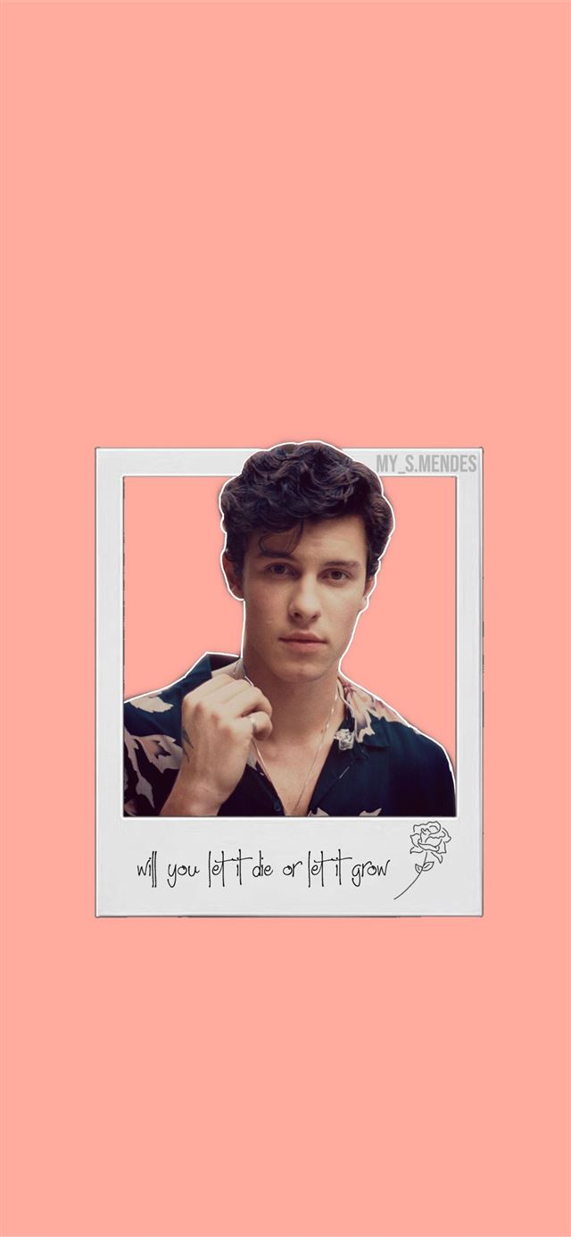 Follow me on instagram my s mendes shawnmendes iPhone 11 wallpaper 