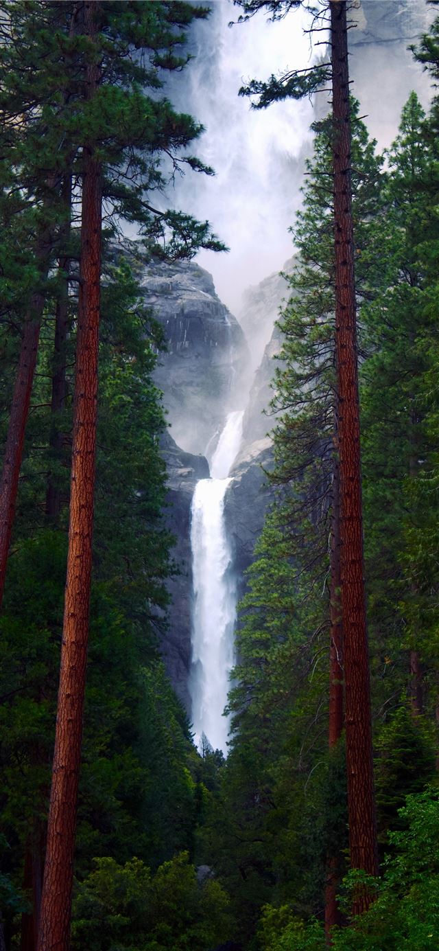green and brown trees with water falls iPhone X wallpaper 