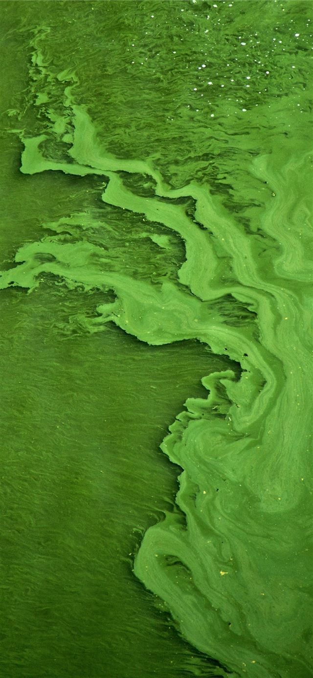green color water iPhone X wallpaper 