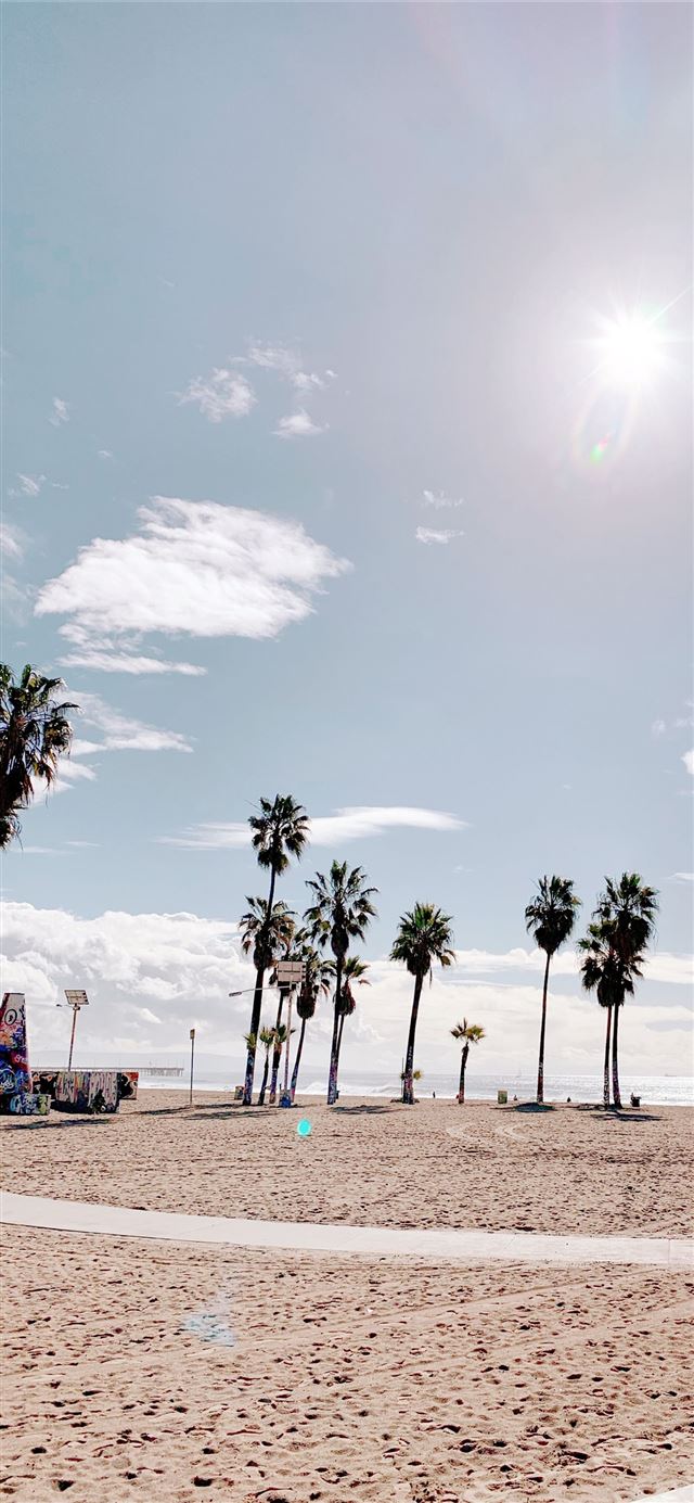 Palm Trees in Venice Beach Los Angeles palmtrees v... iPhone X wallpaper 