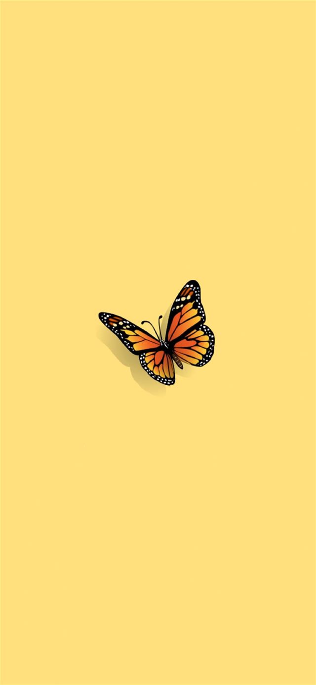 Butterfly iPhone X wallpaper 