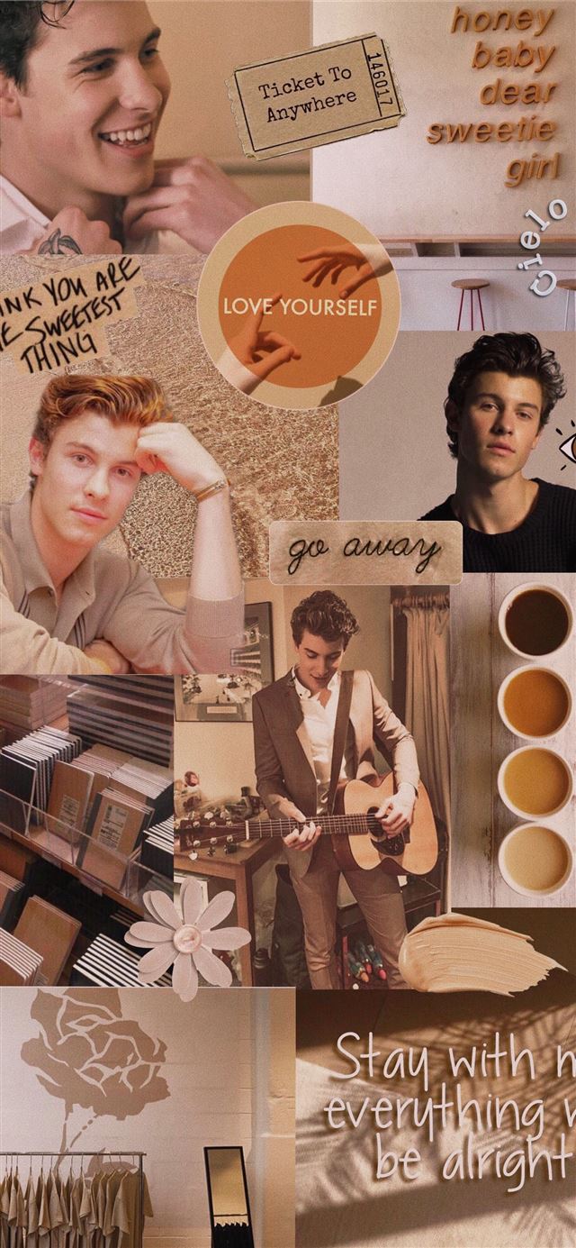 Shawn Mendes aesthetic beige iPhone 11 wallpaper 