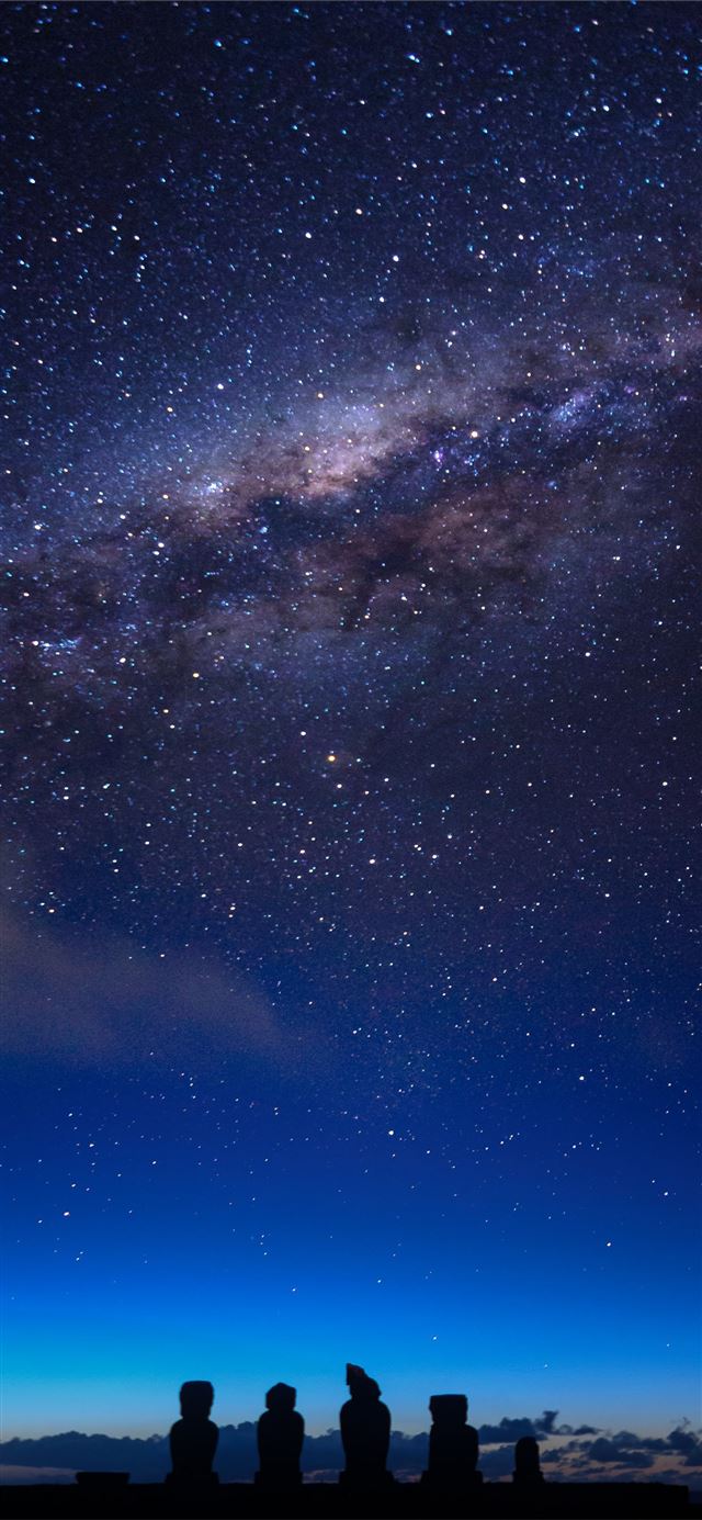 starry night over the starry night iPhone 11 wallpaper 