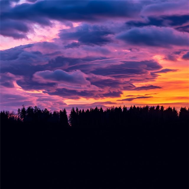 sunset clouds forest 4k iPad Pro wallpaper 