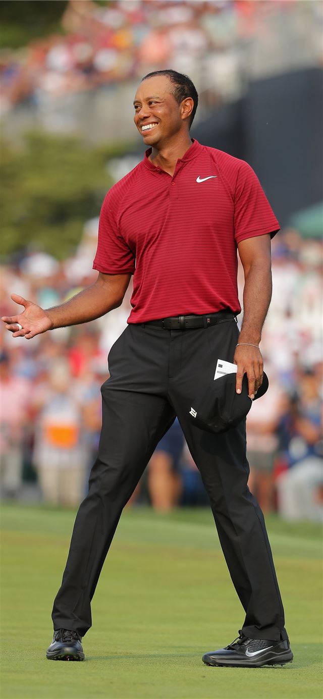 Tiger Woods From highs to lows iPhone X wallpaper 