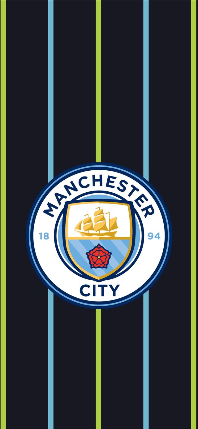 Tottenham Vs Manchester City Champions League HD iPhone 11 wallpaper 