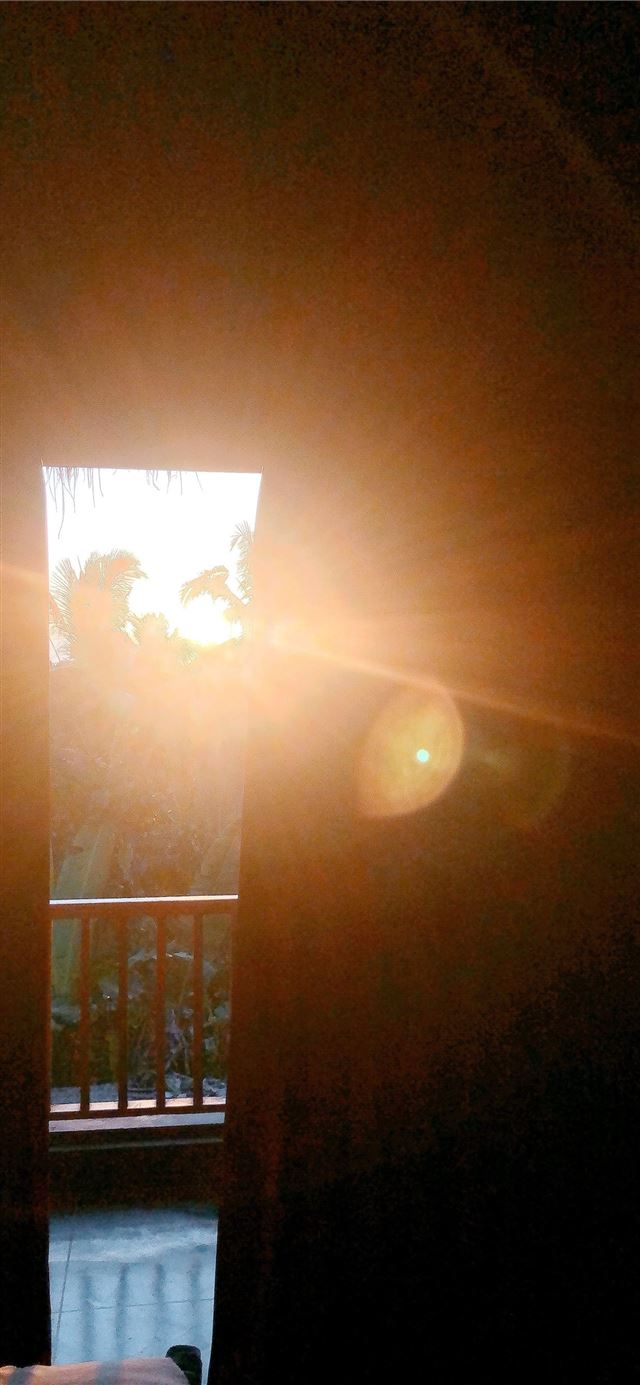 WAITING SUN GOES DOWN🌴 iPhone 11 wallpaper 