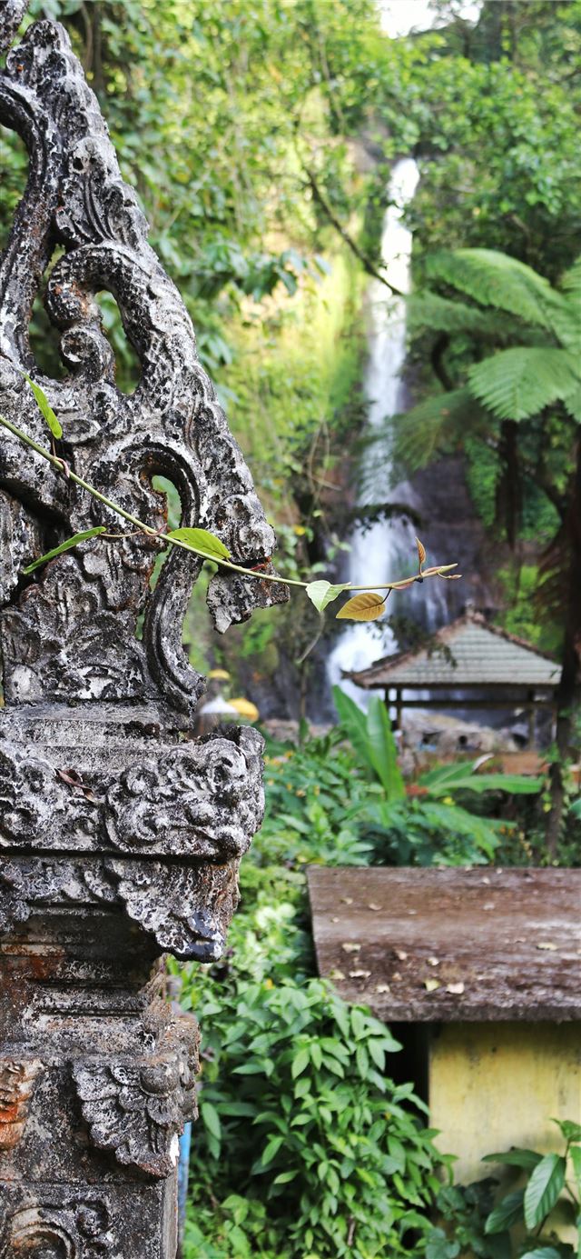  nature landscape waterfall wall Bali Indonesia iPhone X wallpaper 