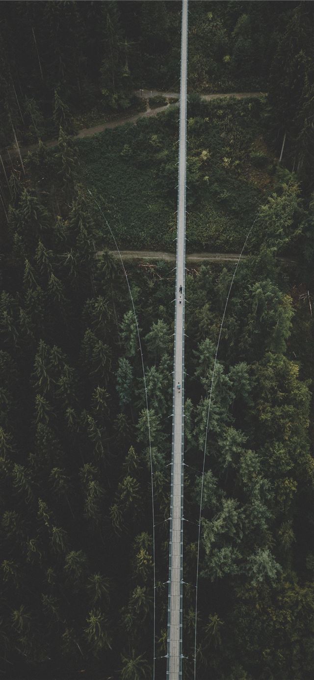 aerial photography of field with trees iPhone 11 wallpaper 