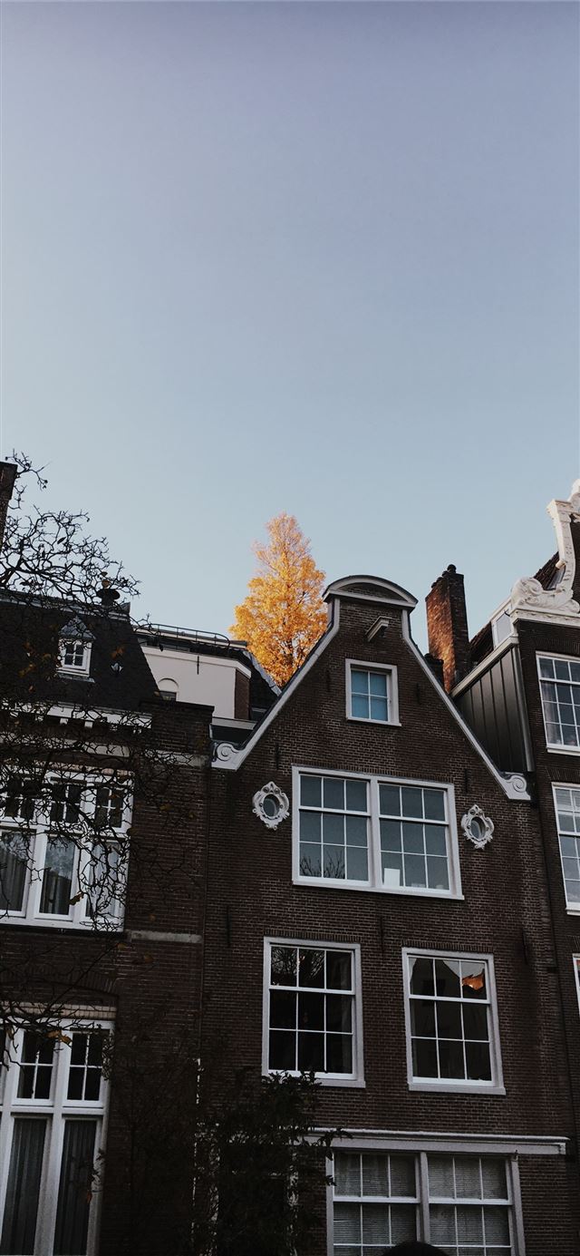 Amsterdam Netherlands lockscreen photography iPhone X wallpaper 