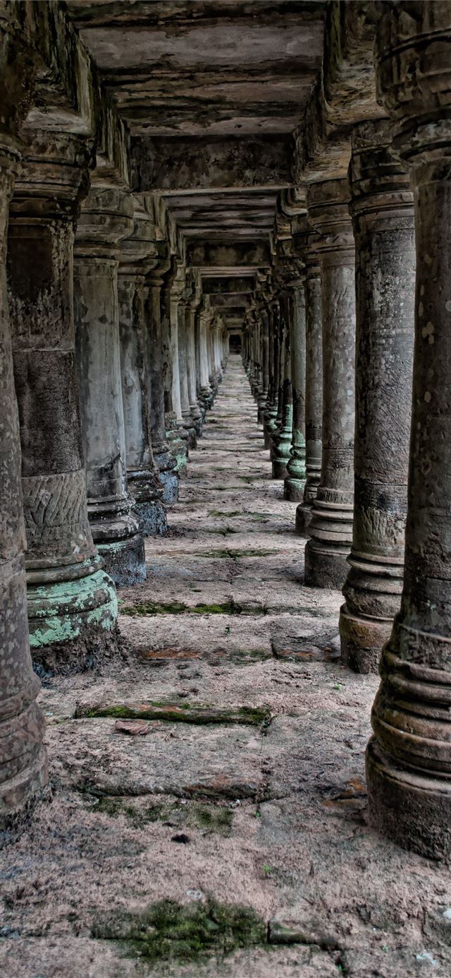 Angkor Wat iPhone 11 wallpaper 