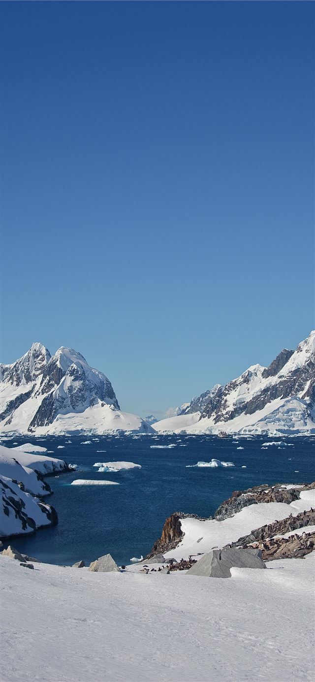 Antarctica iPhone X wallpaper 
