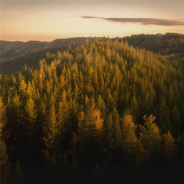 autumn forests of the nurali hills 5k iPad Pro wallpaper 