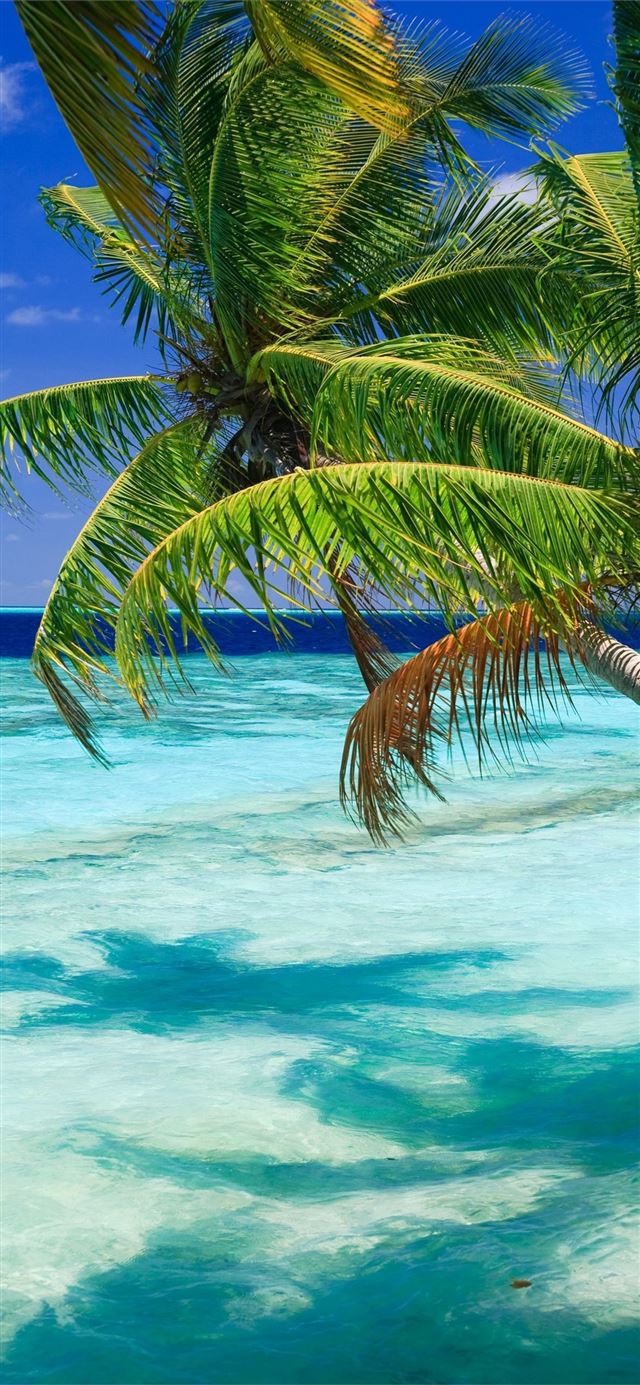 Barbados iPhone X wallpaper 