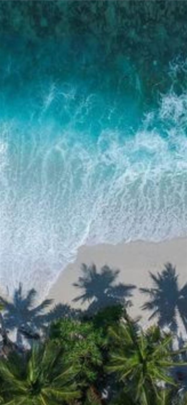 Beachy Head iPhone X wallpaper 
