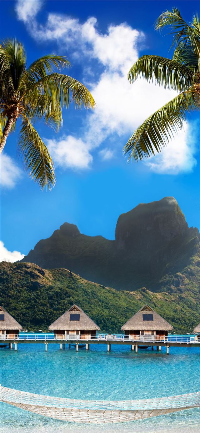 Beautiful Images Of Bora Bora Ecopetit cat iPhone X wallpaper 