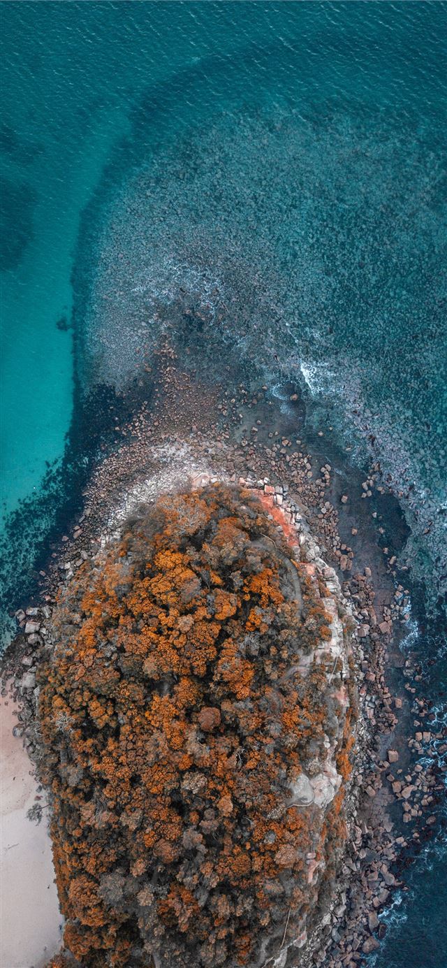 bird's eye view photo rocks near seashore iPhone 11 wallpaper 