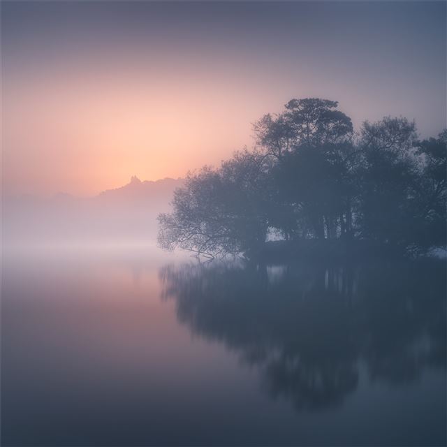calm mist morning 8k iPad wallpaper 