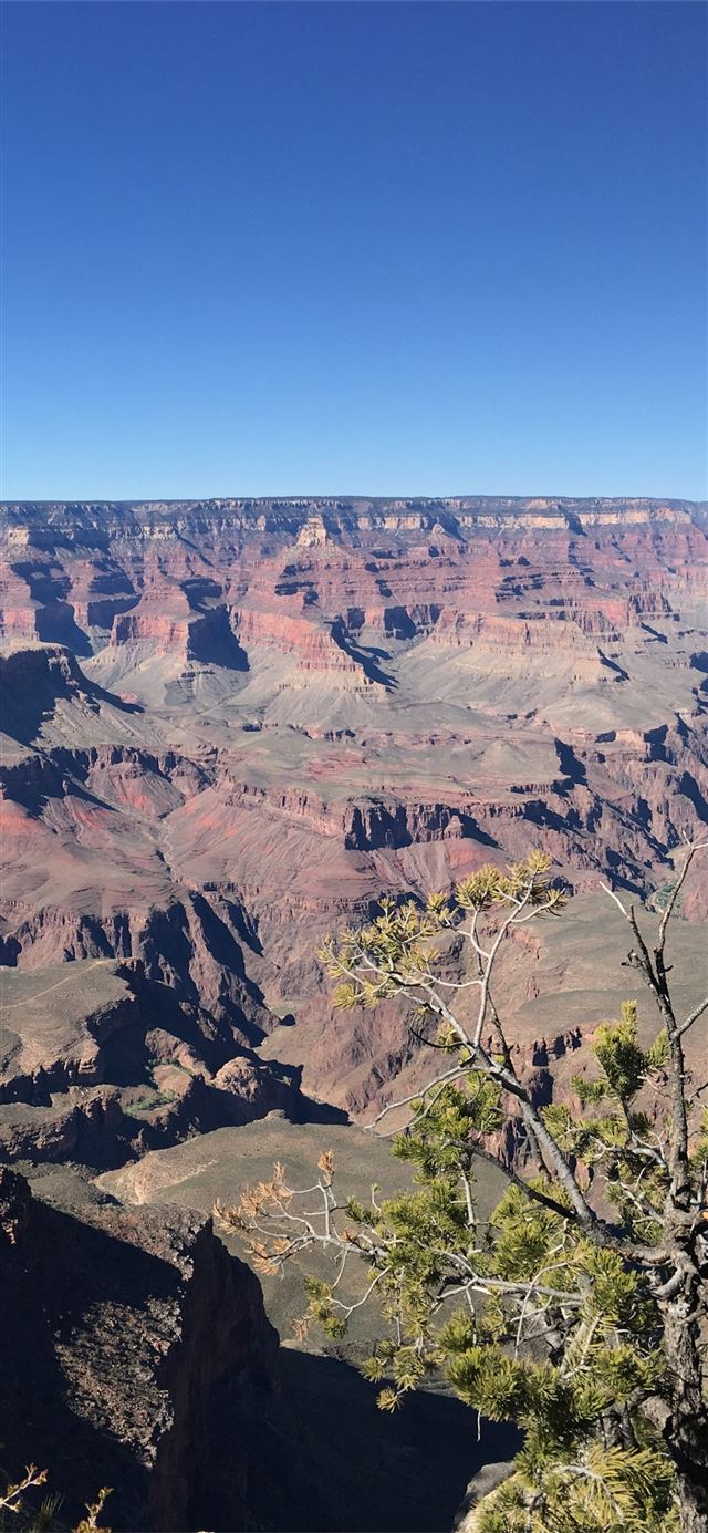 Earth Grand Canyon ID 785295 Mobile Abyss iPhone 11 wallpaper 