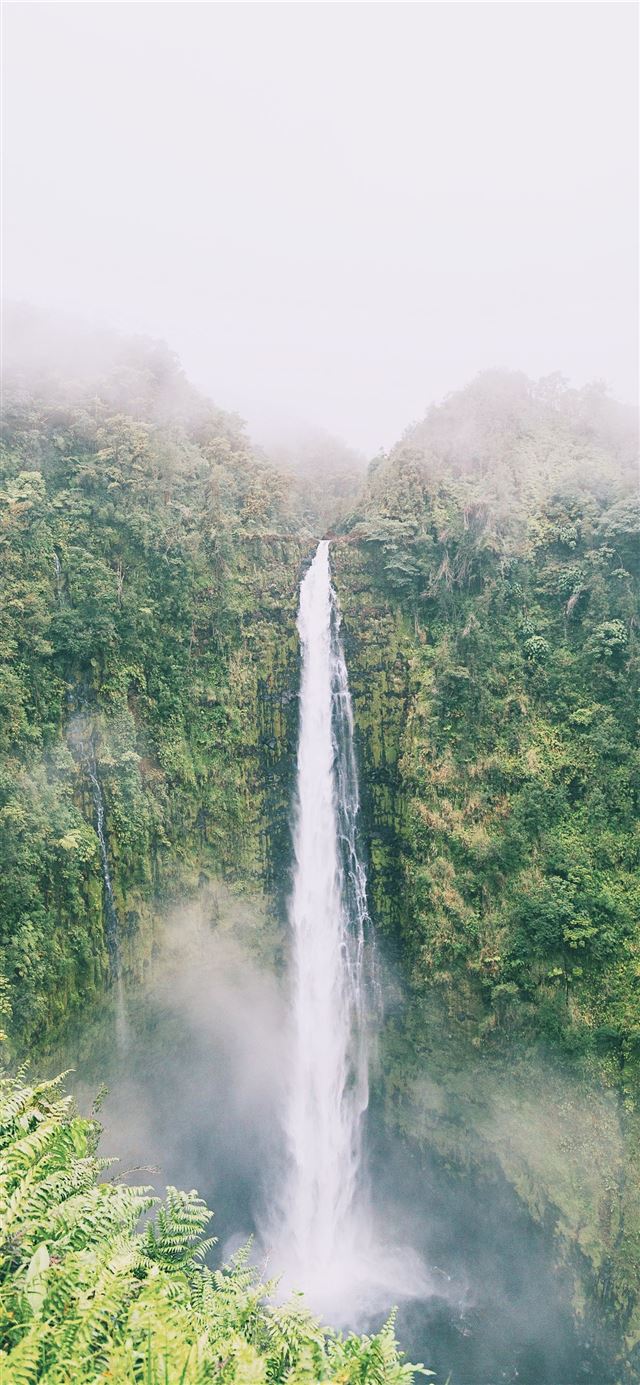 Foggy Akaka falls in Big island iPhone 11 wallpaper 