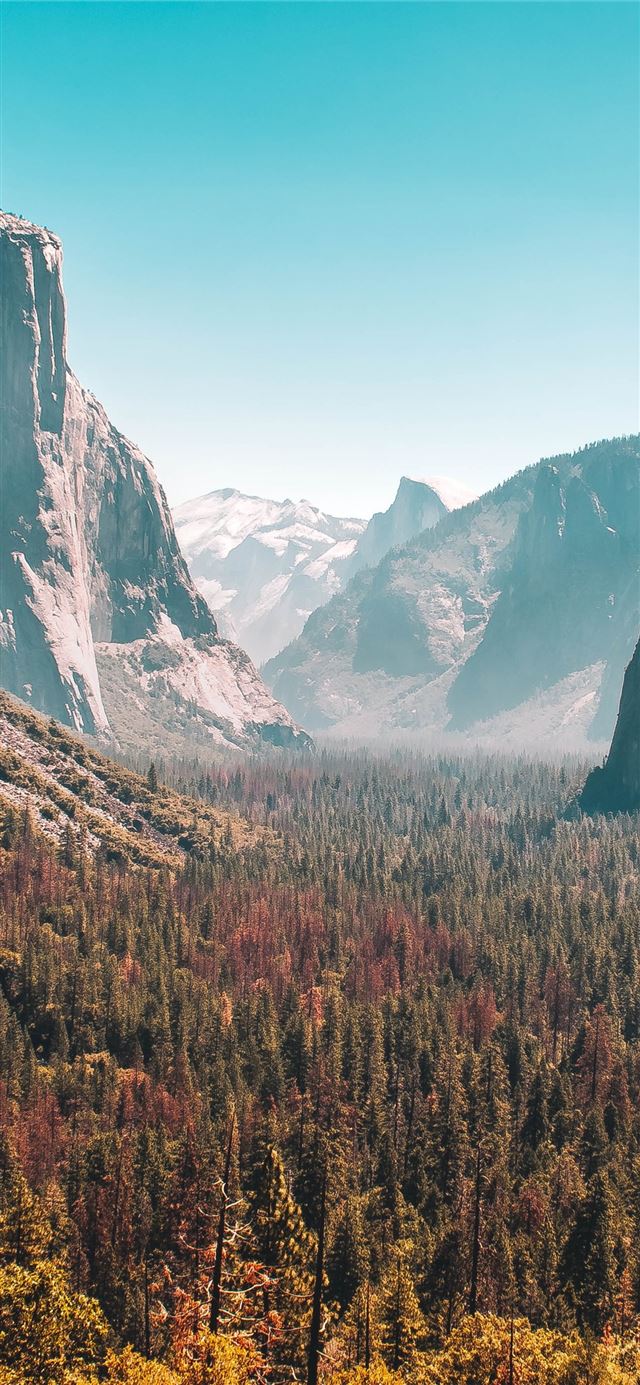 Forest Mountain Yosemite Valley 5k Sony Xperia X X... iPhone 11 wallpaper 
