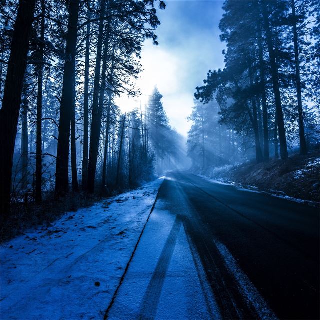 forest snowy dark evening 5k iPad Pro wallpaper 