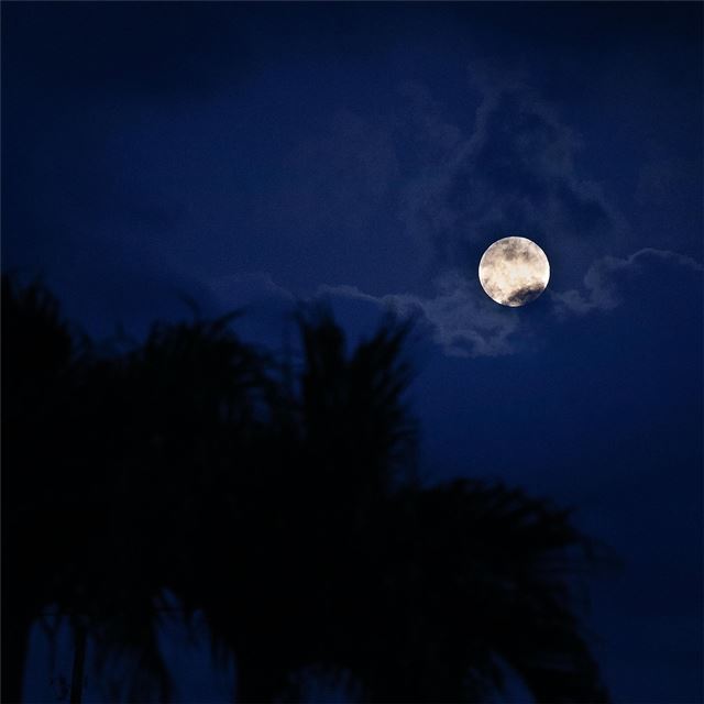 full moon night 5k iPad wallpaper 
