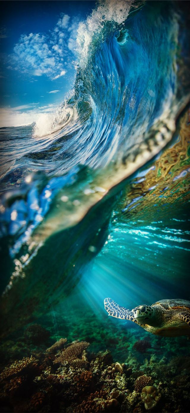 Galapagos Islands iPhone X wallpaper 