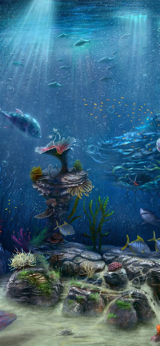 Great Barrier Reef iPhone X wallpaper 