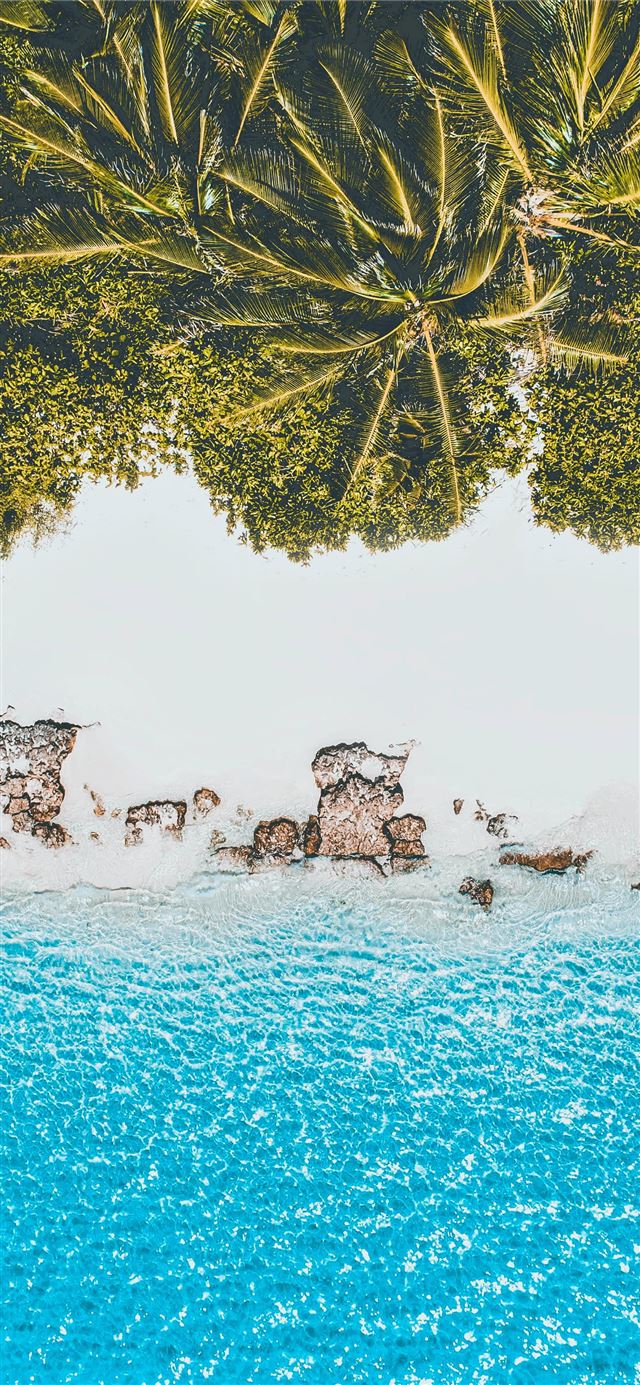 green trees on seashore iPhone X wallpaper 