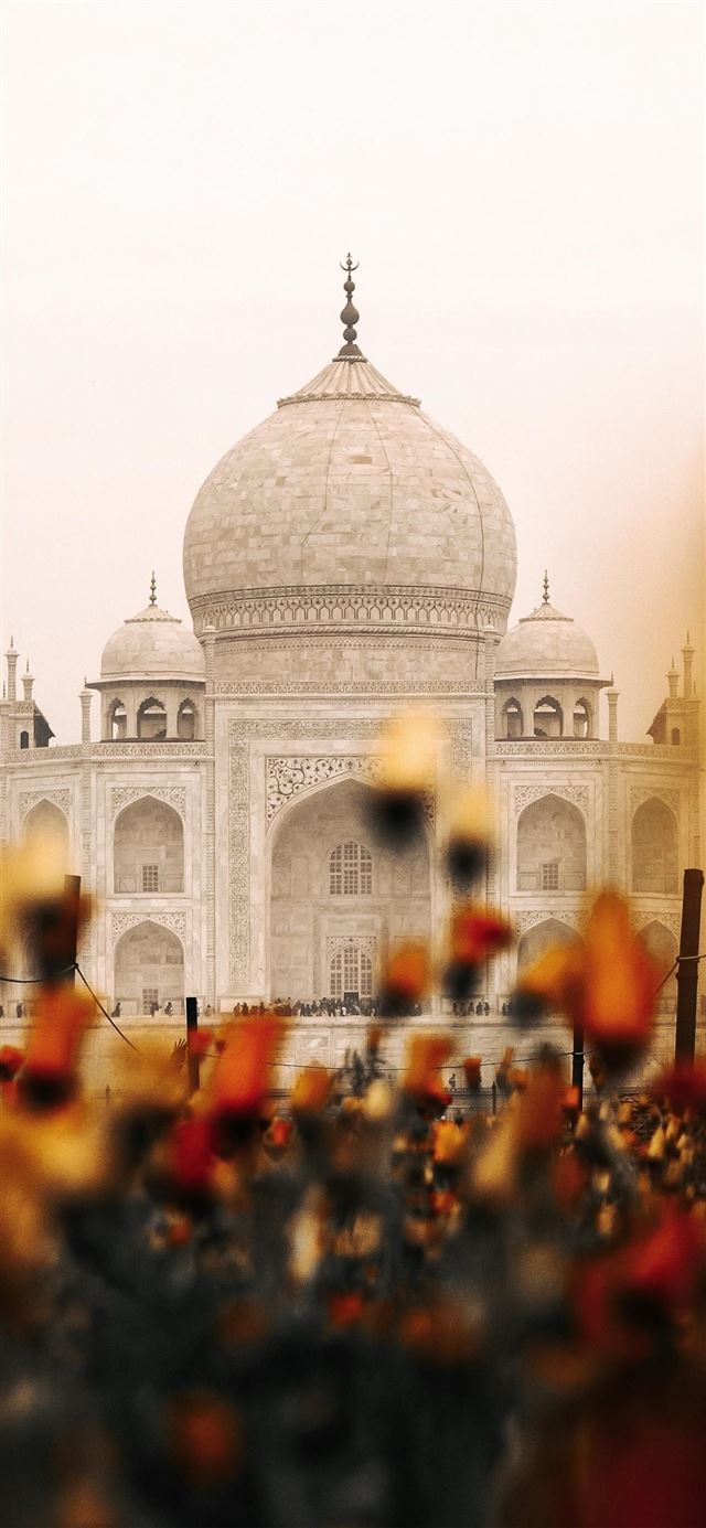 ITAP The Taj Mahal Peeking Through PicOfTheDay iPhone 11 wallpaper 