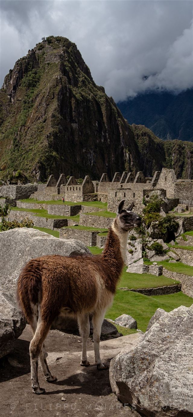 Machu Picchu Archivi backgrounds and more iPhone 11 wallpaper 