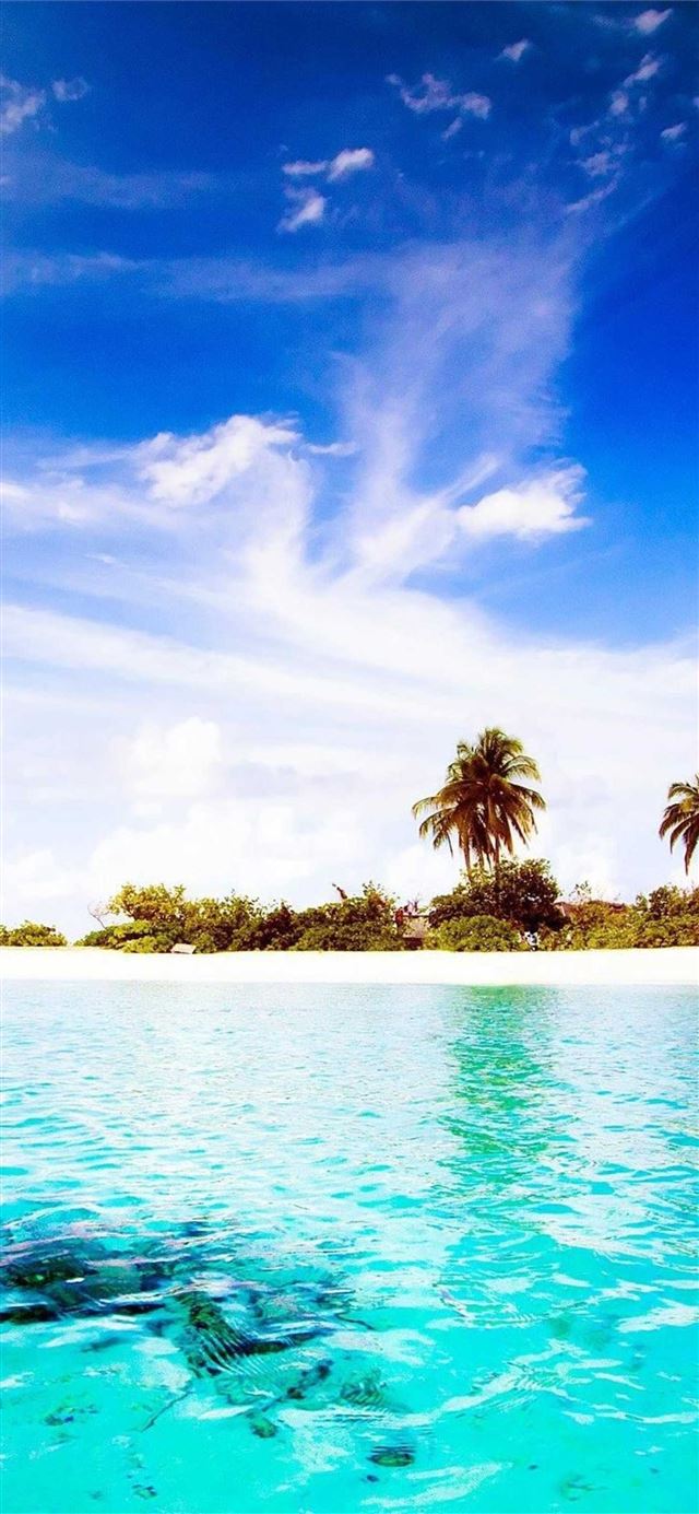 Maldives Diggiri Island HD  iPhone 11 wallpaper 