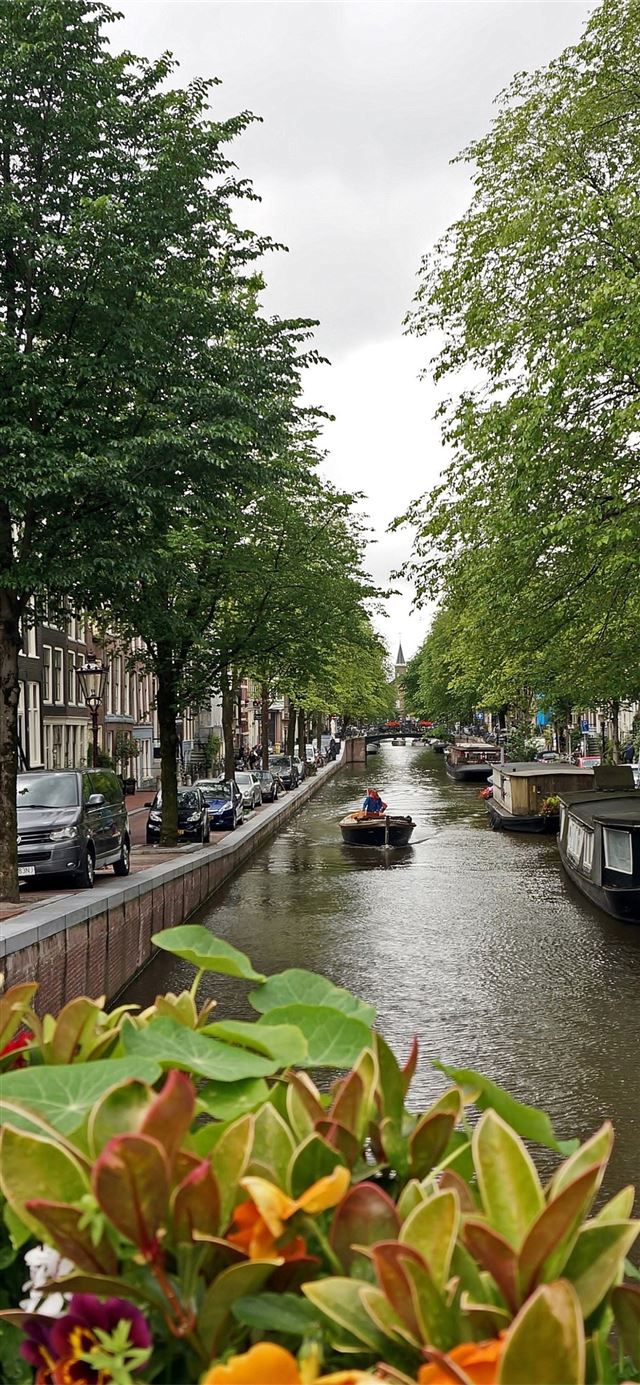 Man Made Amsterdam ID 779510 Mobile Abyss iPhone 11 wallpaper 