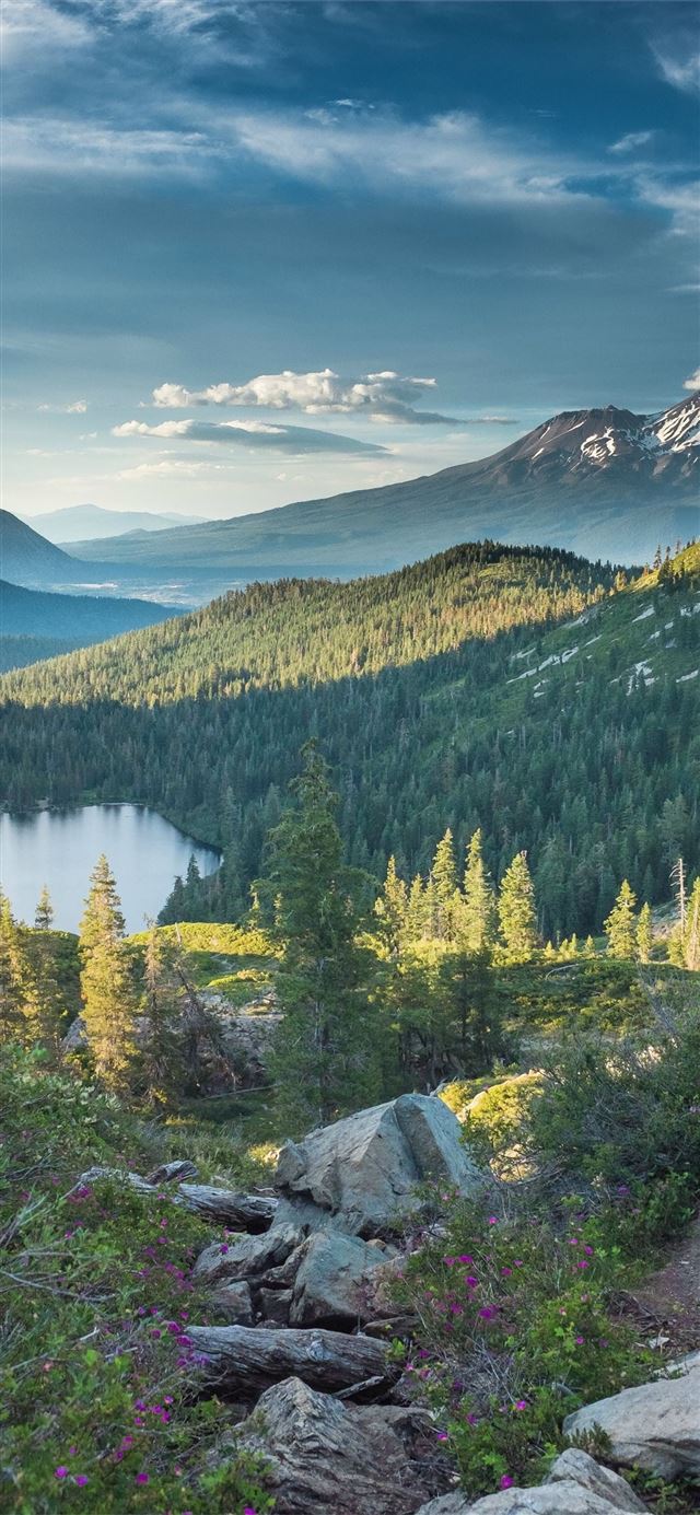 Mountain peak near body of water forest Mount Shas... iPhone X wallpaper 