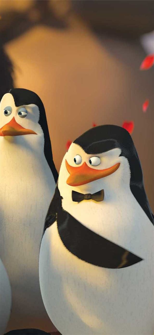 Penguins Of Madagascar Movie HD iPhone X wallpaper 