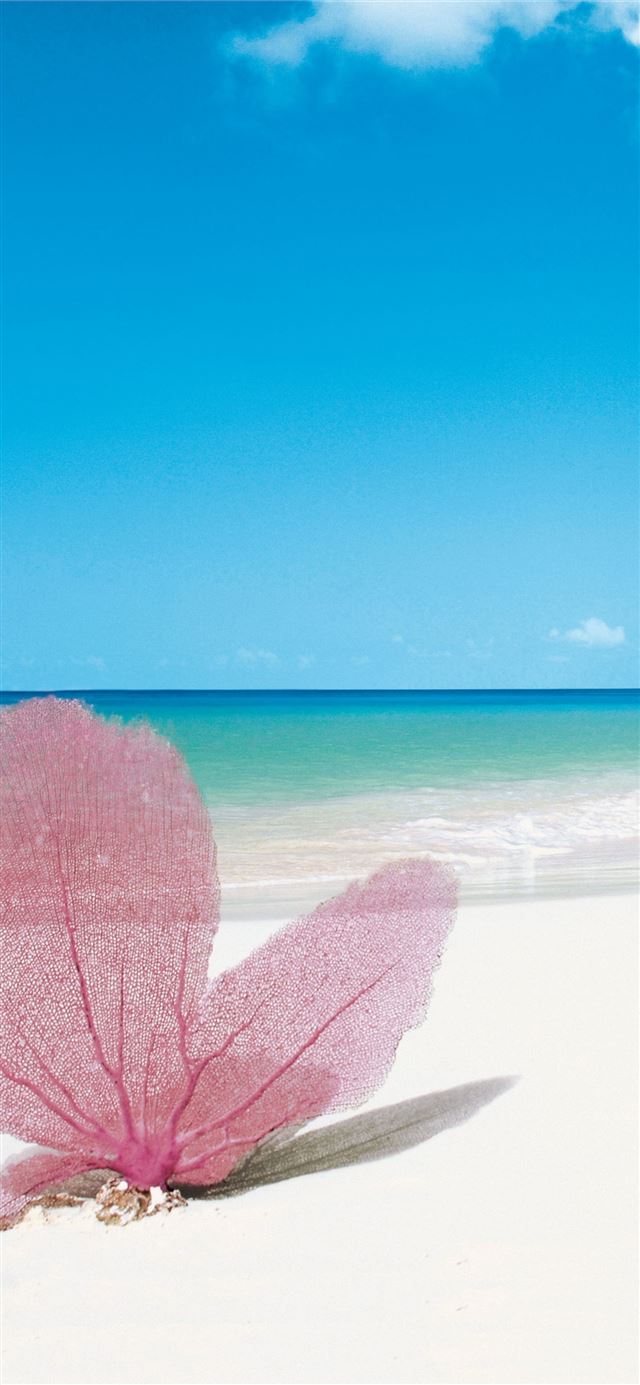 Providenciales iPhone X wallpaper 