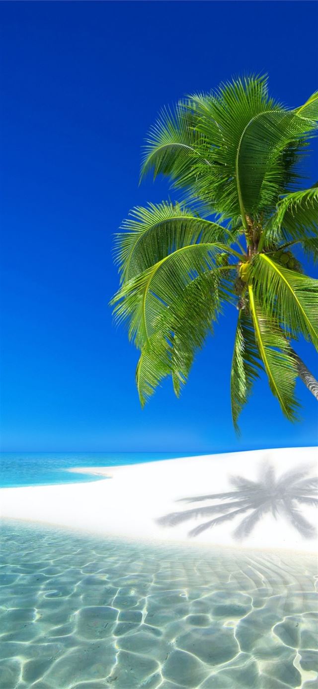 Seychelles Resort Ocean Holiday Beach iPhone X wallpaper 