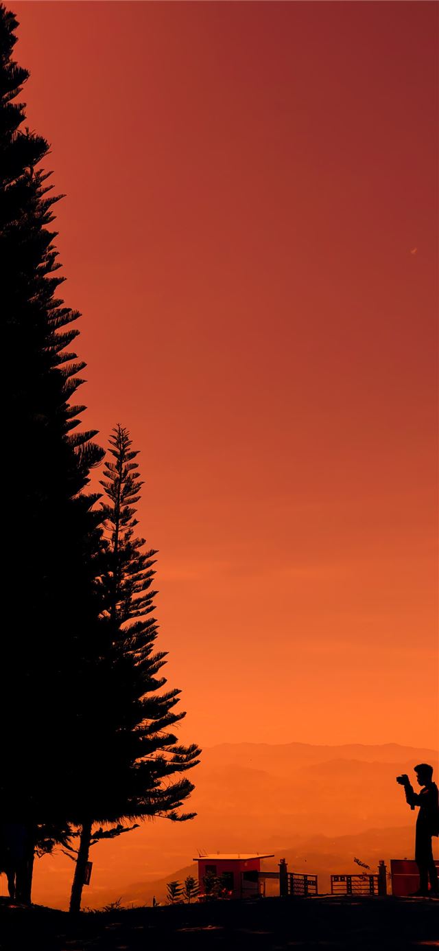 silhouette of man standing near trees iPhone 11 wallpaper 