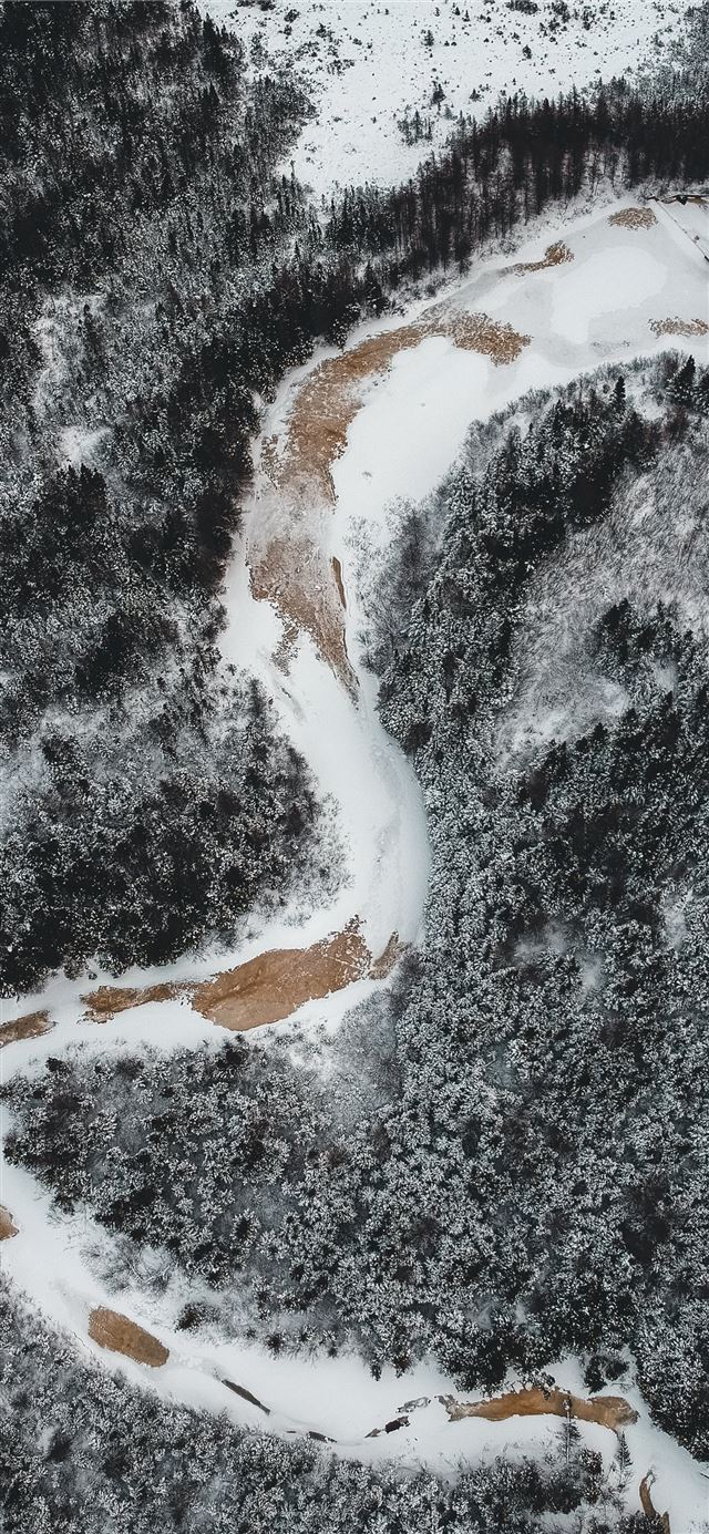 snow covered road during daytime iPhone X wallpaper 