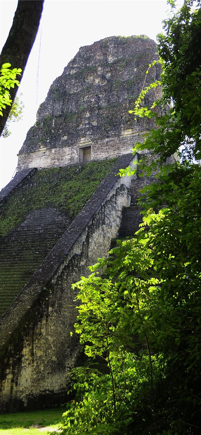 Tikal iPhone X wallpaper 