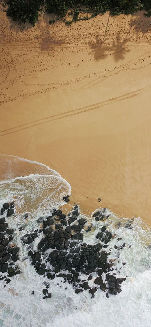 water hitting rocks on shore near trees during day... iPhone X wallpaper 