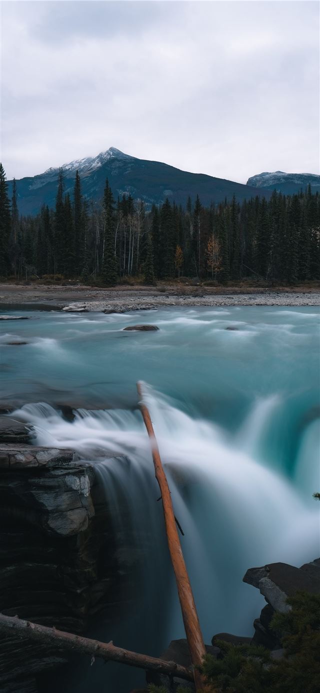 waterfall and trees under white sky iPhone X wallpaper 