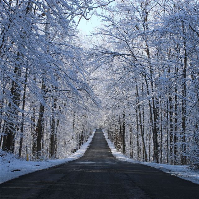 winter road way 5k iPad Pro wallpaper 