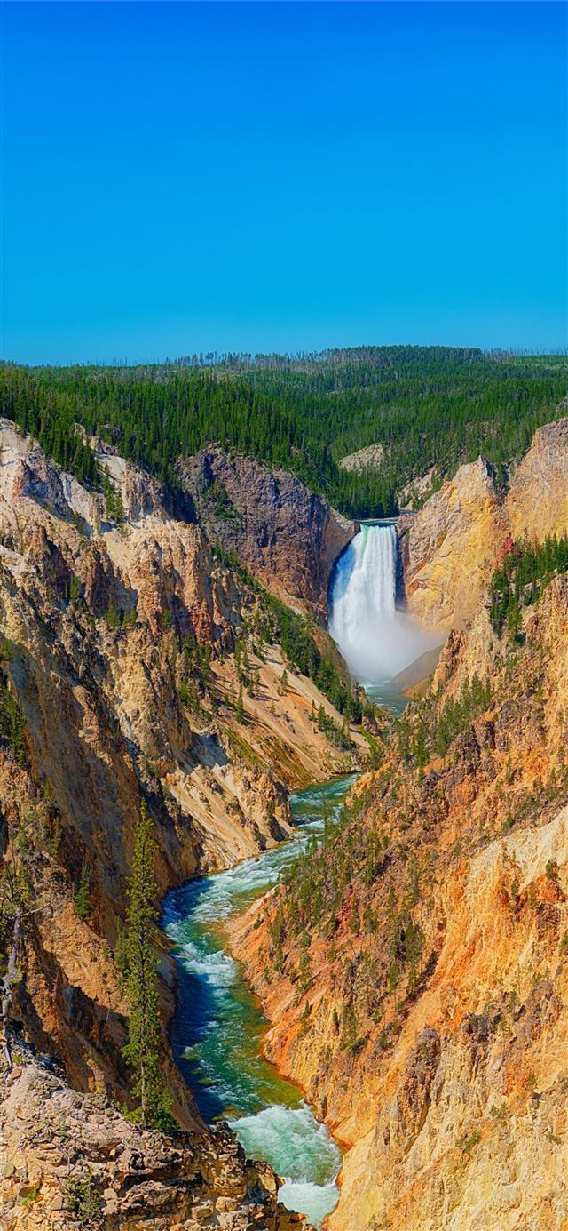 Yellowstone National Park iPhone 11 wallpaper 