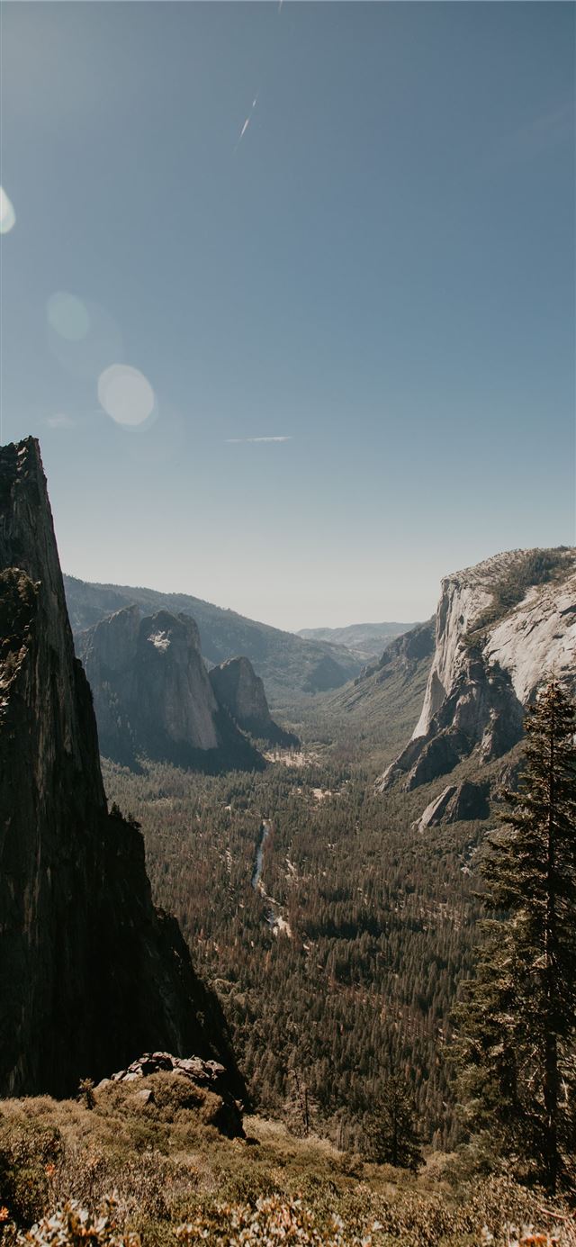 Yosemite Valley photo by Fatima Elreda Photo iPhone 11 wallpaper 