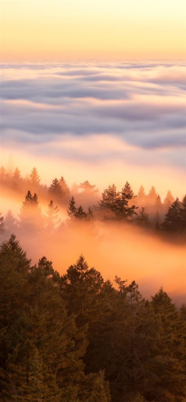 crazy fog flow at sunset iPhone 11 wallpaper 