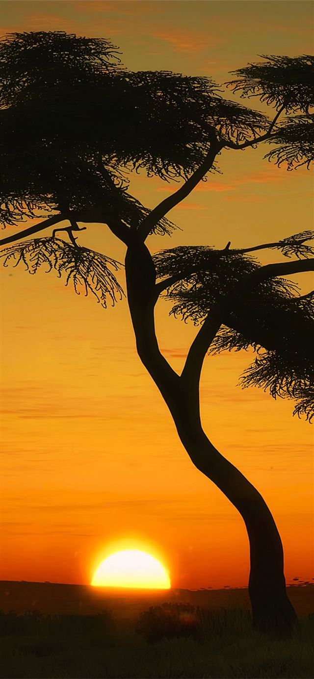 masai mara sunrise iPhone X wallpaper 