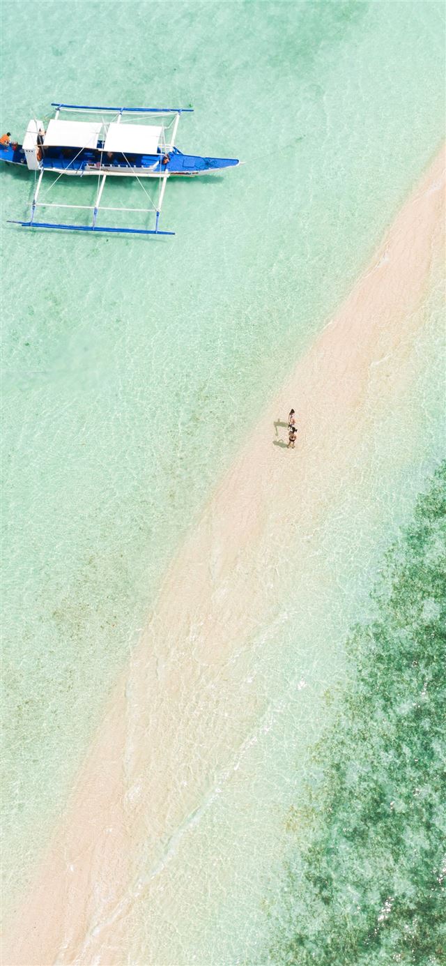 people on beach during daytime iPhone X wallpaper 