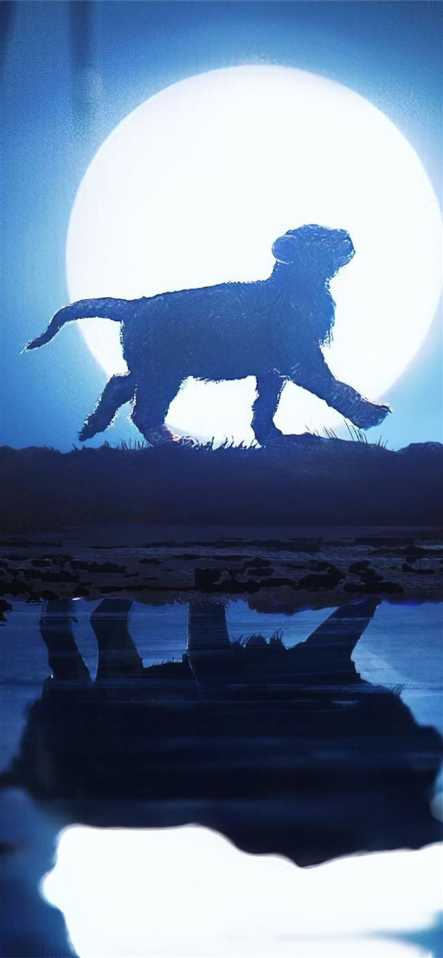 the lion king walk iPhone X wallpaper 